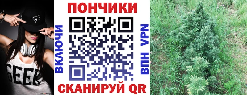 закладки  Юрга  Канабис MAZAR 